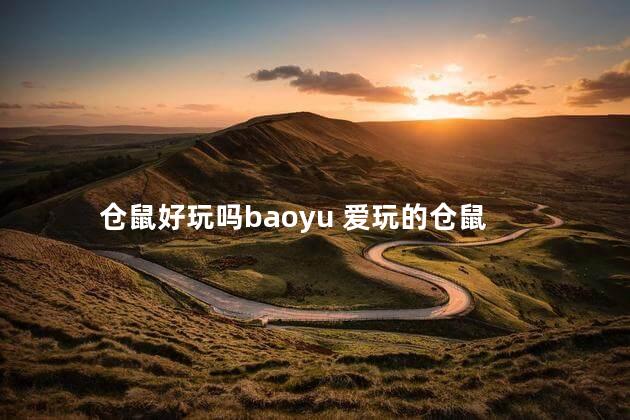 仓鼠好玩吗baoyu 爱玩的仓鼠